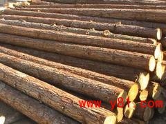 浚县木材加工价格_服务一流的浚县木材加工服务商_葛朝亮个体销售部 - 八十亿网
